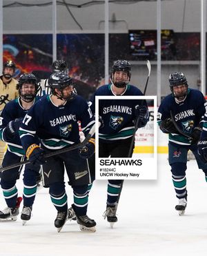 Image post by @uncwhockey on Instagram