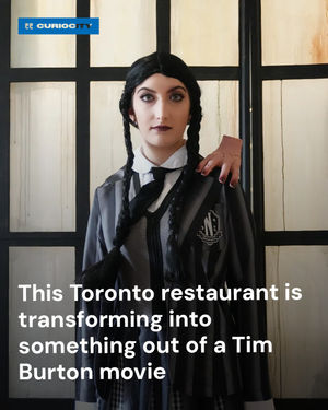 Image post by @curiocitytoronto on Instagram