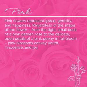 Image post by @sayitwithflowerspk on Facebook
