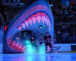 Image post by @NHL on Twitter