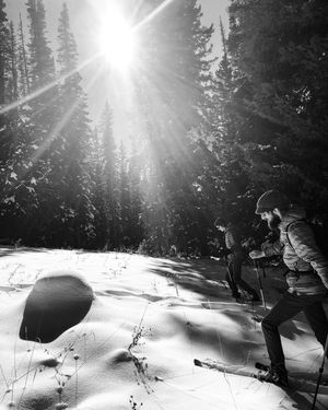 Image post by @chrislholder on Instagram