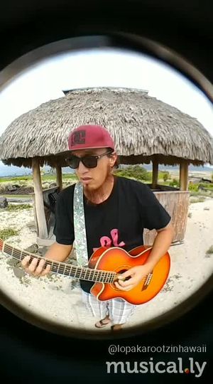 Video post by @lopakarootzinhawaii on TikTok