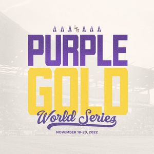 Image post by @lsubaseball on Instagram