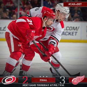 Image post by @canes on Instagram