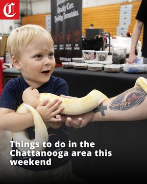 Image post by @chattanooga on Instagram