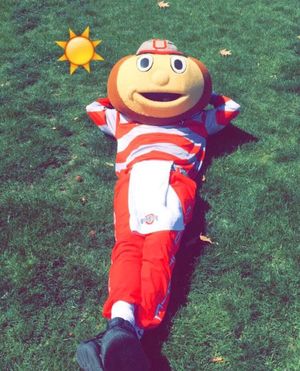 Image post by @Brutus_Buckeye on Twitter