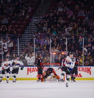 Image post by @UtahGrizzlies on Twitter