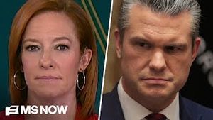 Video post by @msnbc on YouTube