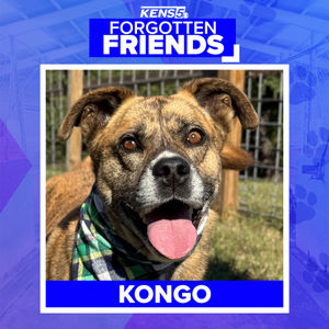 Image post by @kens5 on Instagram