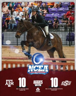Image post by @AggieEquestrian on Twitter