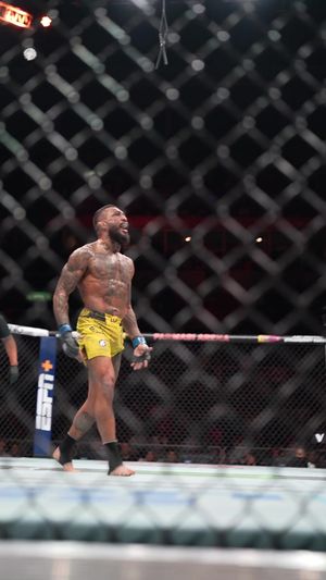 Video post by @ufc on TikTok