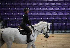 Image post by @aggieequestrian on Instagram