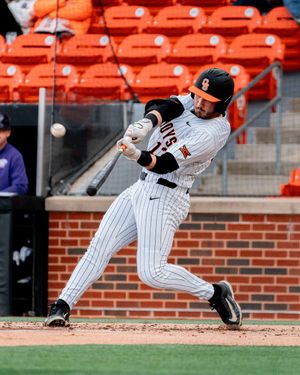 Image post by @usagoldenspikes on Instagram