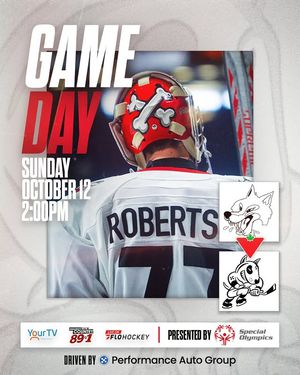 Image post by @ohlicedogs on Instagram
