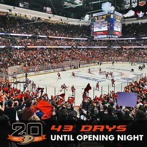 Image post by @anaheimducks on Instagram