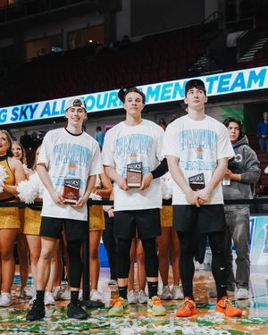 Image post by @vandalhoops on Instagram