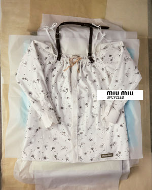 Image post by @miumiu on Instagram