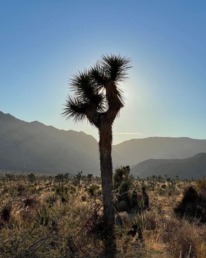 Image post by @foxweather on Instagram