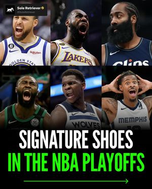 Image post by @soleretriever on Instagram