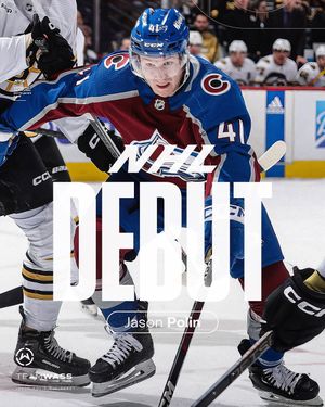 Image post by @the.team.hockey on Instagram