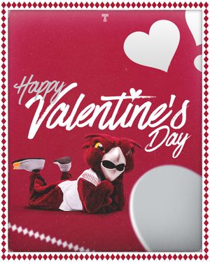 Image post by @TempleOwls on Twitter