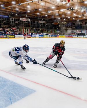 Image post by @henargomezphotography on Instagram