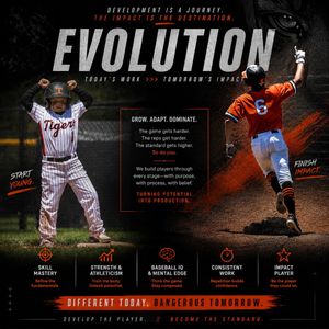Image post by @rawlingstigers on Instagram