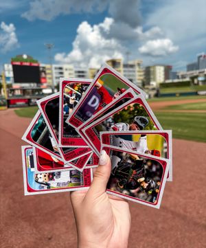 Image post by @bhambarons on Instagram