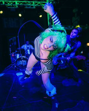 Image post by @duckclubboise on Instagram