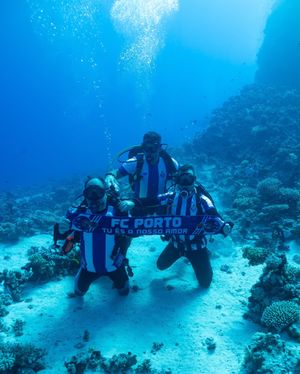 Image post by @fcporto on Instagram