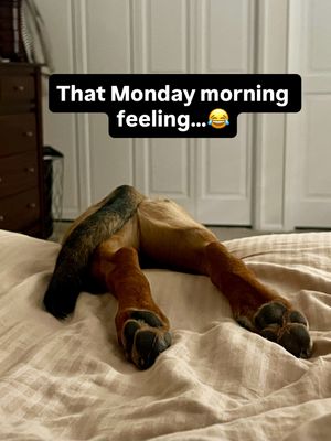 Image post by @warm1069 on Instagram