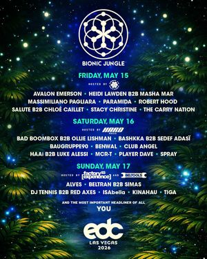 Image post by @edc_lasvegas on Instagram