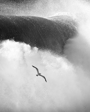 Image post by @mathieurivrin_photographies on Instagram