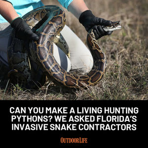 Image post by @outdoor_life on Instagram