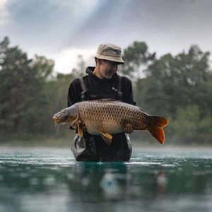Image post by @brothercarp on Instagram