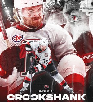 Image post by @ngpvisuals on Instagram