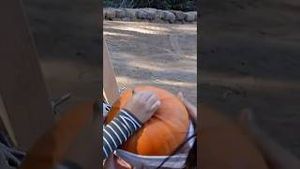 Video post by @kiwico on YouTube