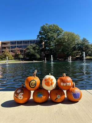 Image post by @clemsonuniversity on Instagram