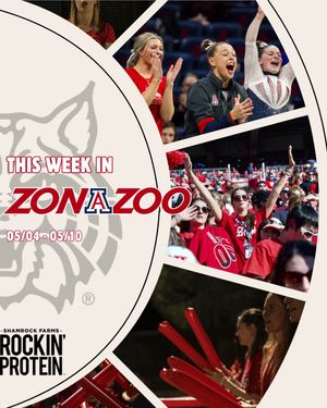 Image post by @zonazooofficial on Instagram
