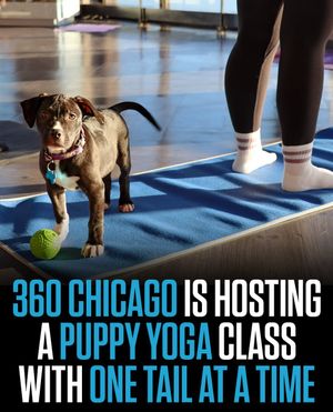 Image post by @360chicago on Instagram