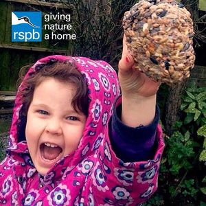 Image post by @rspb on Instagram