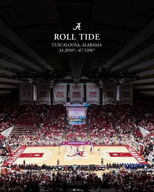 Video post by @mccrosky.creative on TikTok