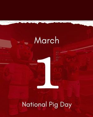 Image post by @razorbackmascots on Instagram