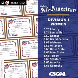 Image post by @Toledoswimdive on Twitter