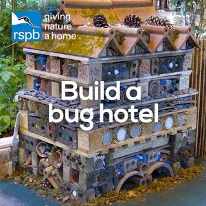 Image post by @rspb on Instagram