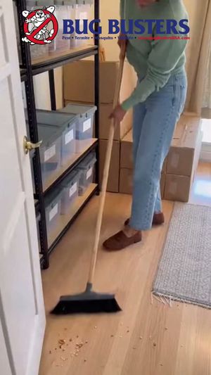Video post by @bugbustersusa on TikTok