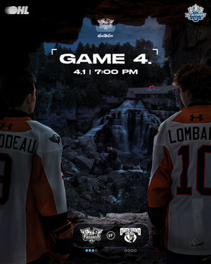 Image post by @flintfirebirds on Instagram