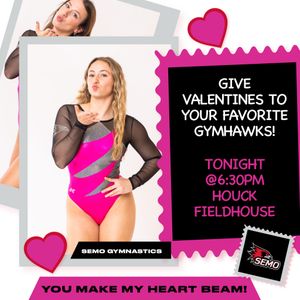 Image post by @semogymnastics on Instagram