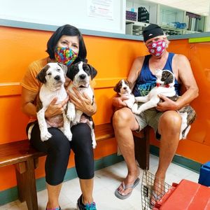 Image post by @suncoasthumane on Instagram