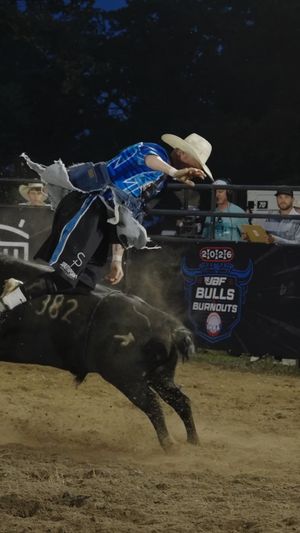 Image post by @ultimatebullfighters on Instagram